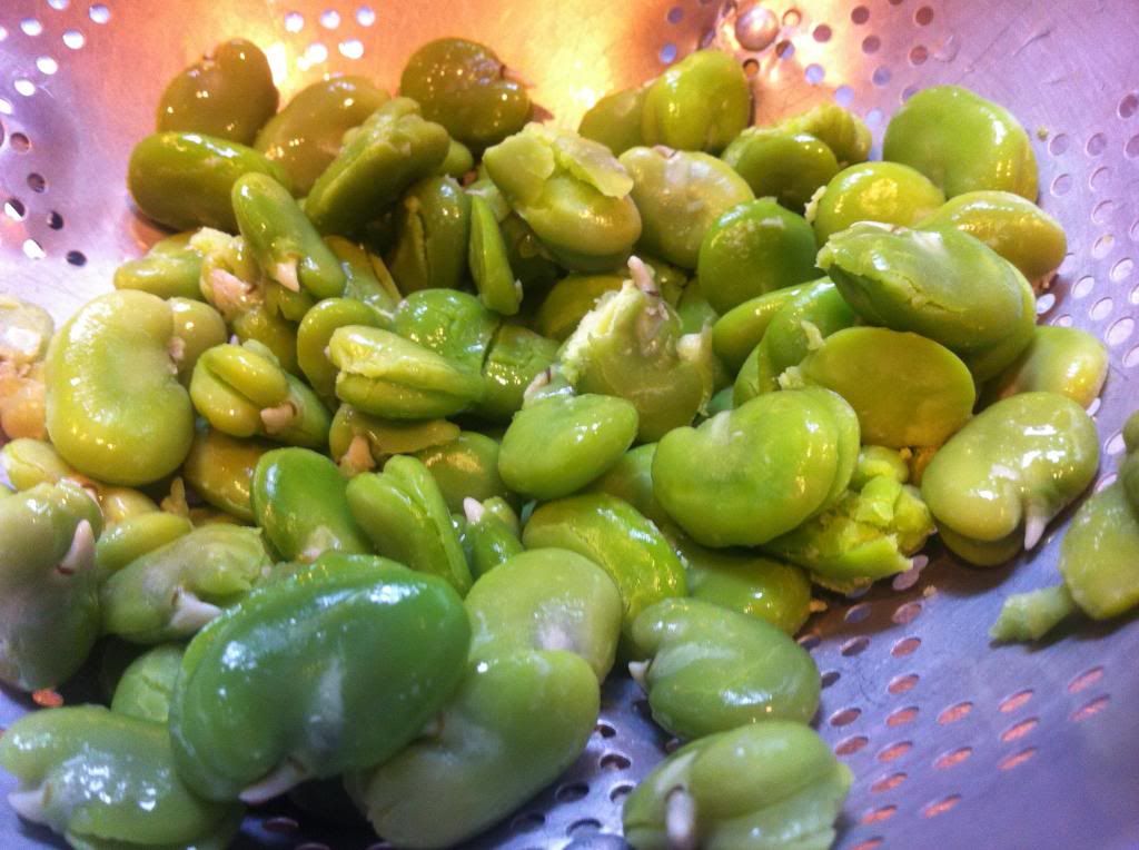 Read This / Eat That Fava Bean and Zucchini Soup